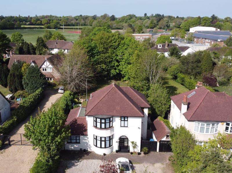 Main Image